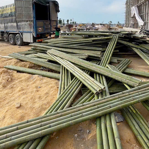 SẠP TRE, SẠP TRÚC 5M